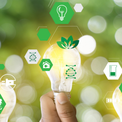 Green Buildings and Sustainable Investments – A Growing Trend