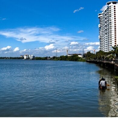 Property Price Trends in Kochi: 2021 to 2025 Analysis