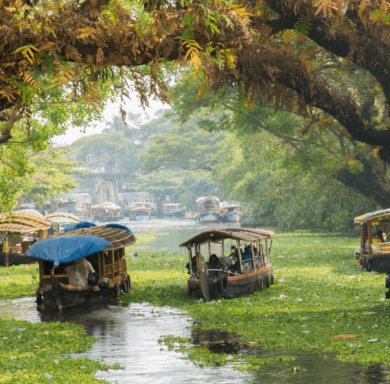 Real Estate Investment in Kerala for NRIs: A Complete Guide