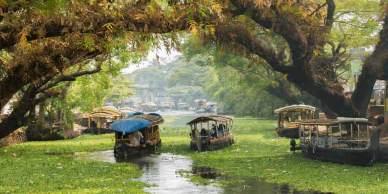 cost-of-living-comparison-kochi-vs-trivandrum