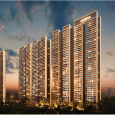 Who is Actually Buying Flats in Noida Extension? A Buyer Profile Breakdown