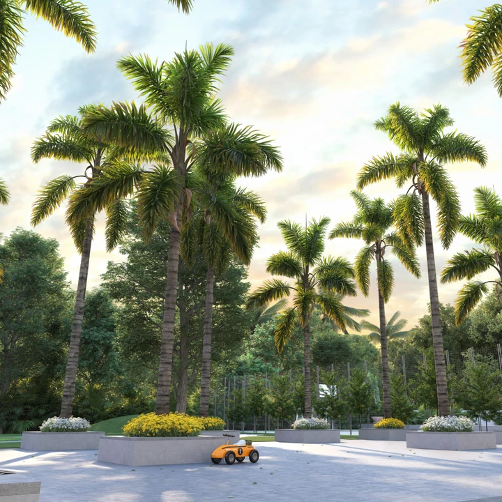 Palm Grove Plaza