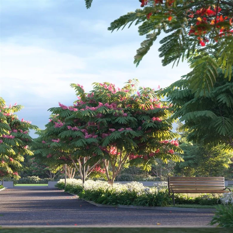 Walkways