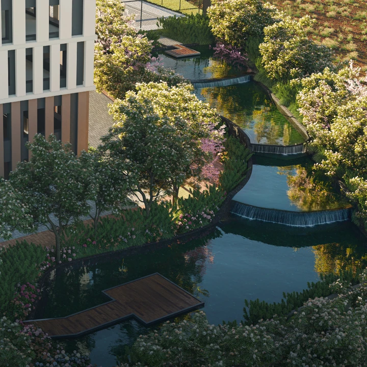 Bio Pond