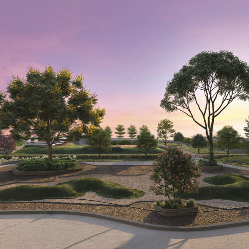 Sacred Grove by the Lake project view